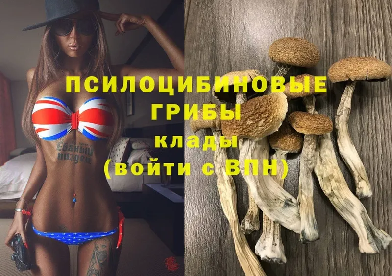 Галлюциногенные грибы Magic Shrooms  цены   Карабаново 